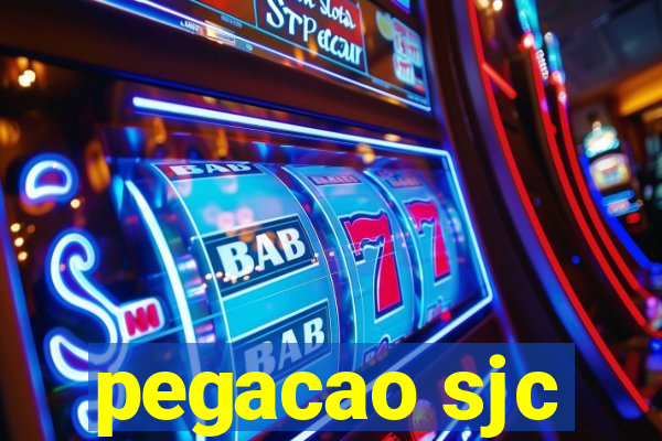 pegacao sjc